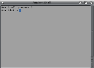 Amigaos3