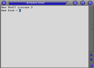 Amigaos3