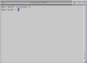 Amigaos3